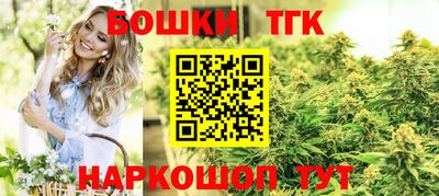молекула духа Будённовск