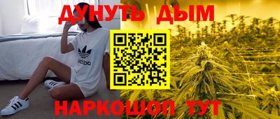молекула духа Будённовск