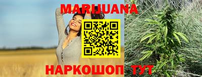 молекула духа Будённовск