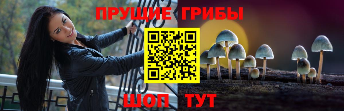 Псилоцибиновые грибы Cubensis Мегион